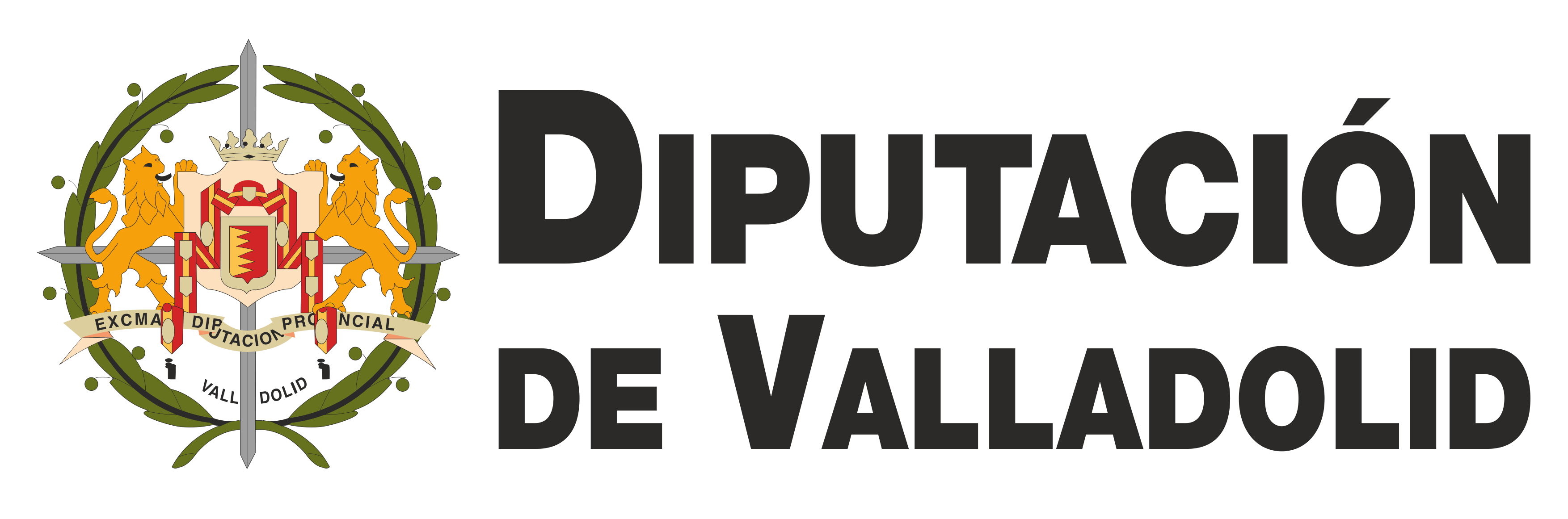 Logotipo Diputación de Valladolid